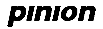 pinion